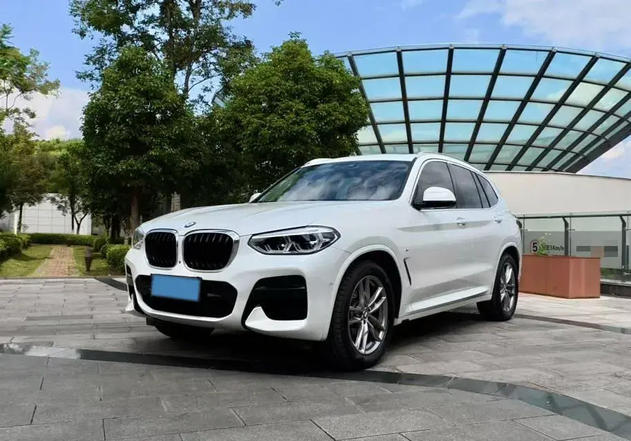 2021 BMW X3 view 1