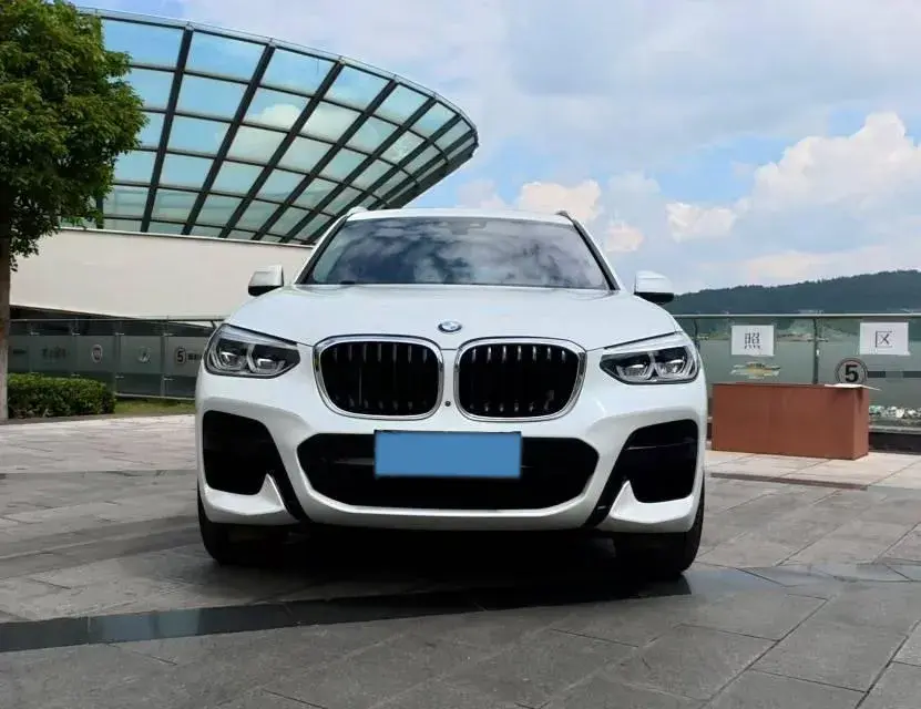 2021 BMW X3 thumbnail 2