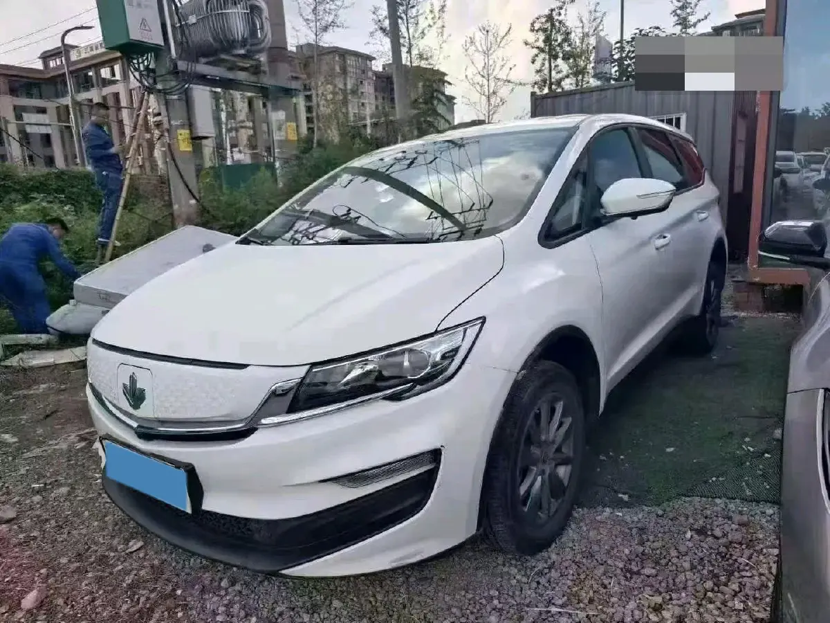 2021 Livan Maple 80v BEV