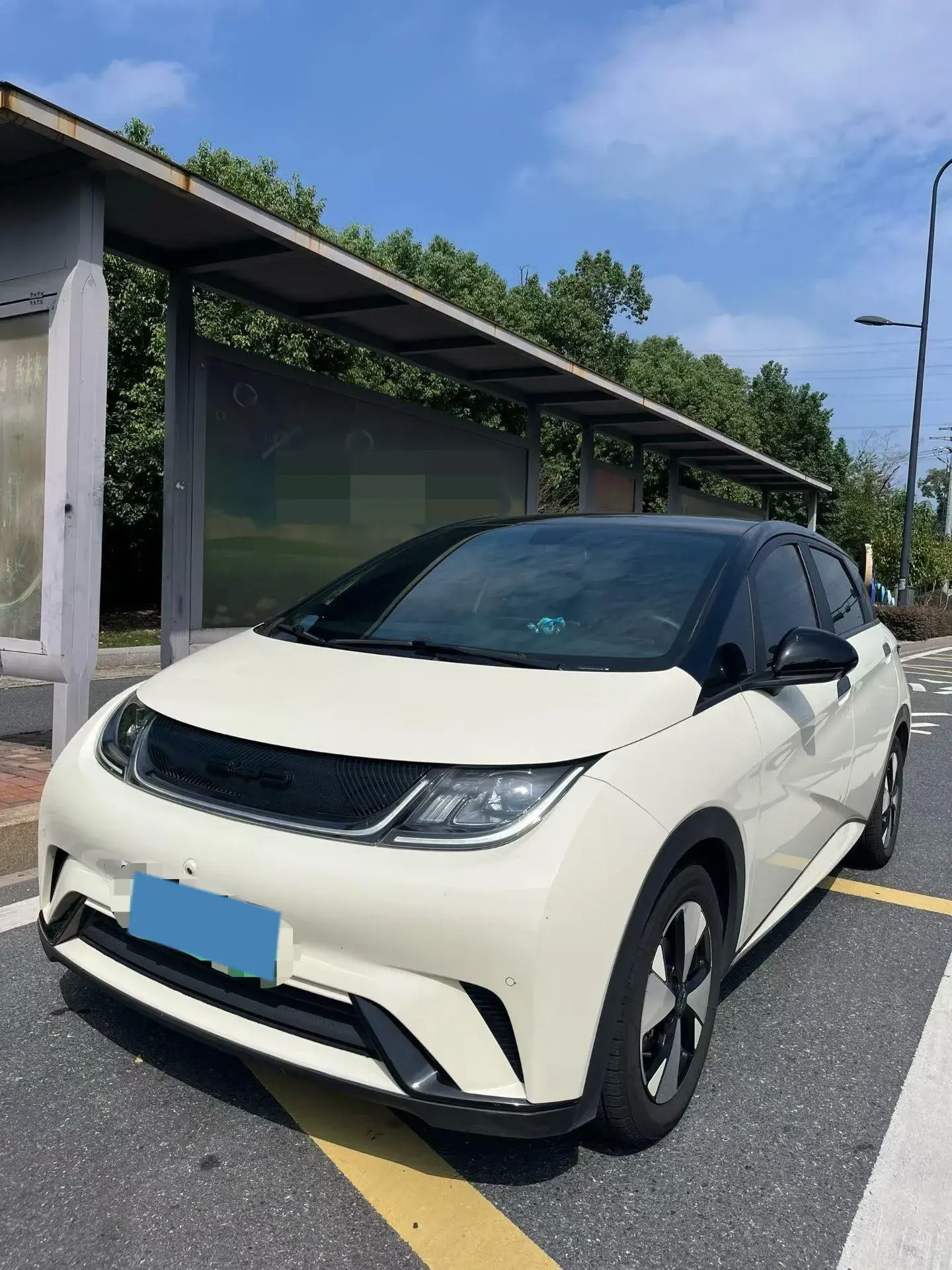 2023 BYD DOLPHIN view 1