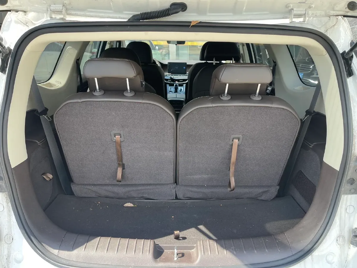 2021 LiFan Maple 80v BEV 53KWH,autocango,china used car exporter,china ev exporter,chinese used car exporter,chinese used ev exporter