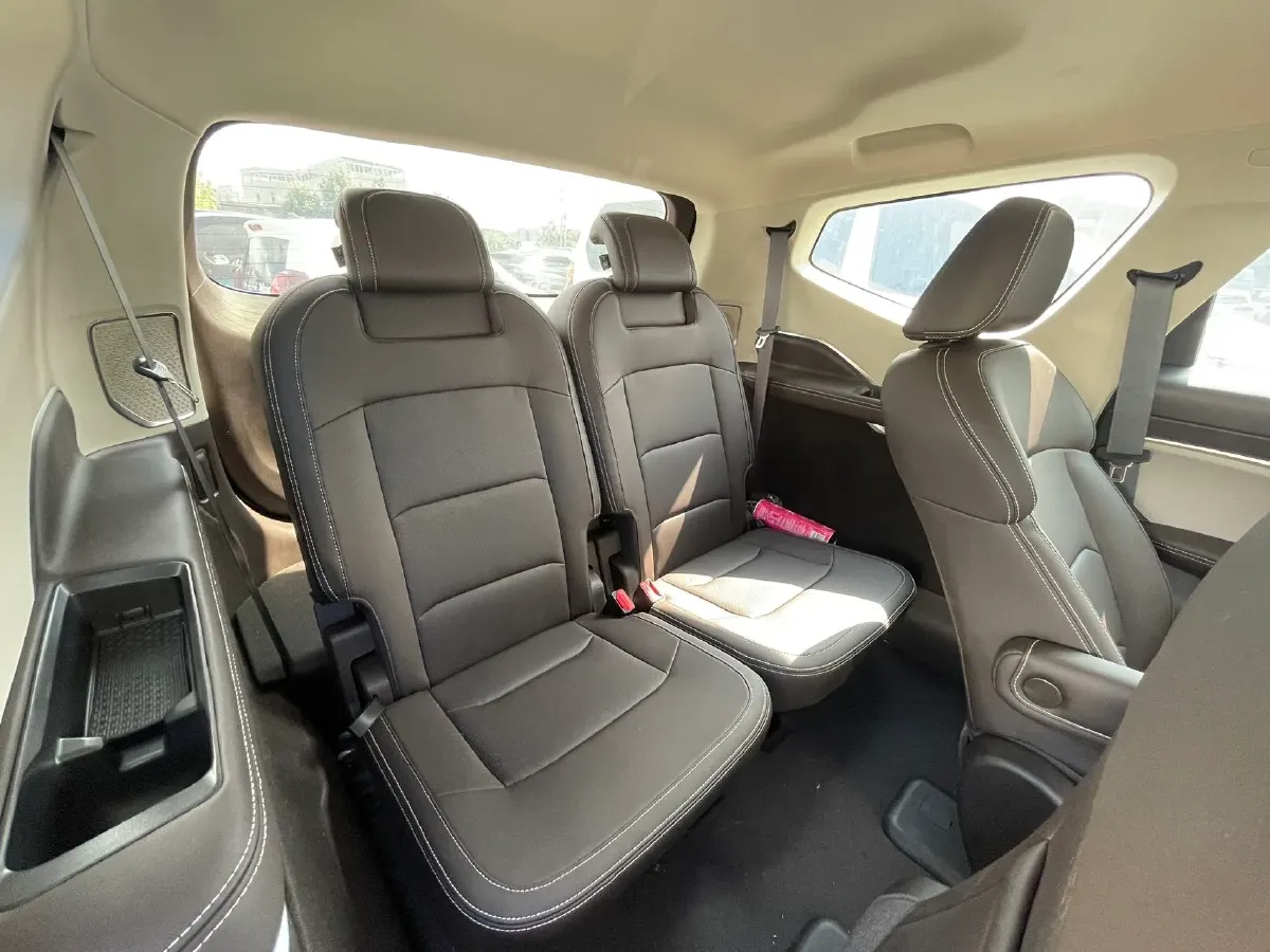 2021 LiFan Maple 80v BEV 53KWH,autocango,china used car exporter,china ev exporter,chinese used car exporter,chinese used ev exporter