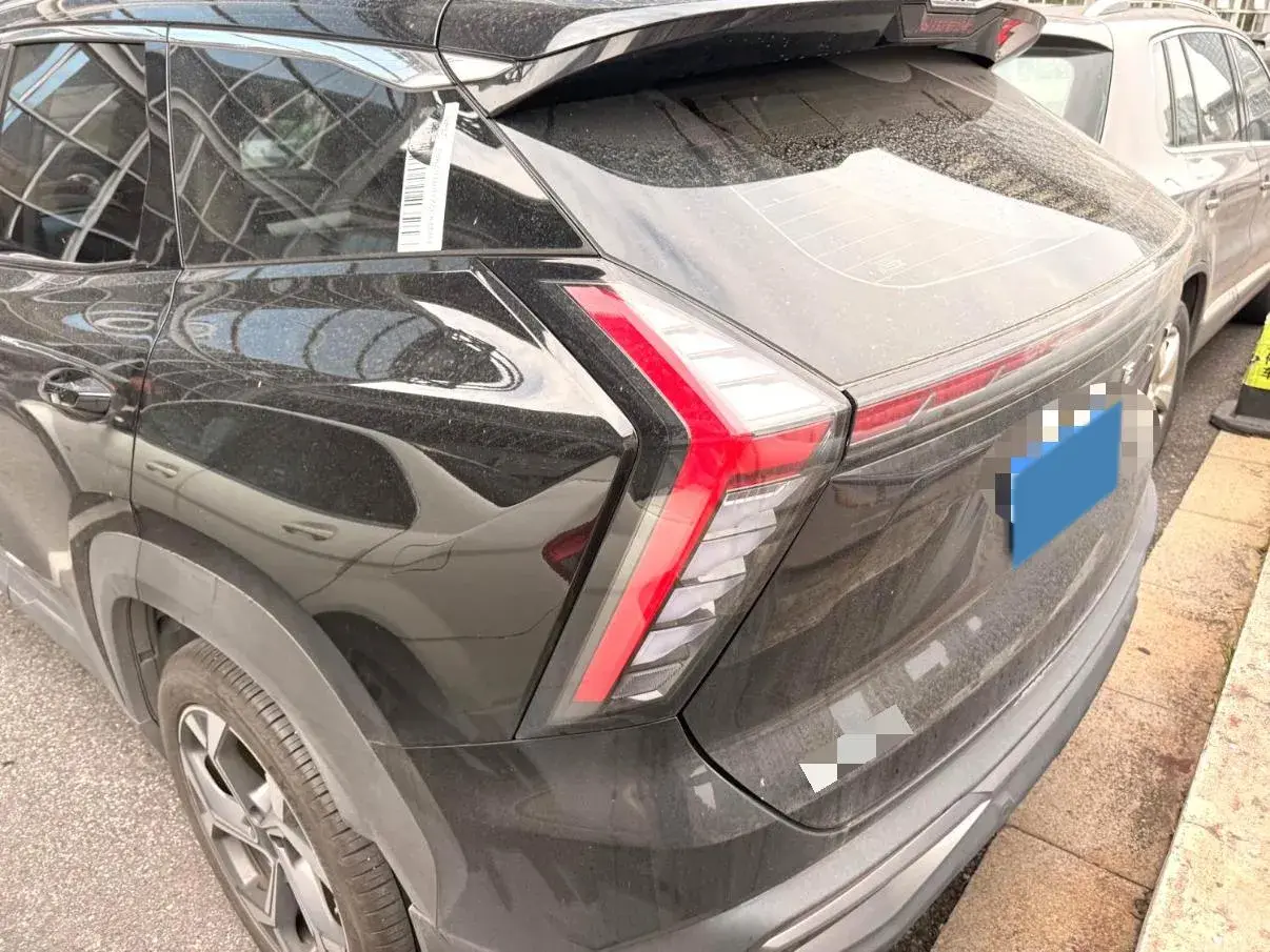 2024 GEELY STARRAY thumbnail 2