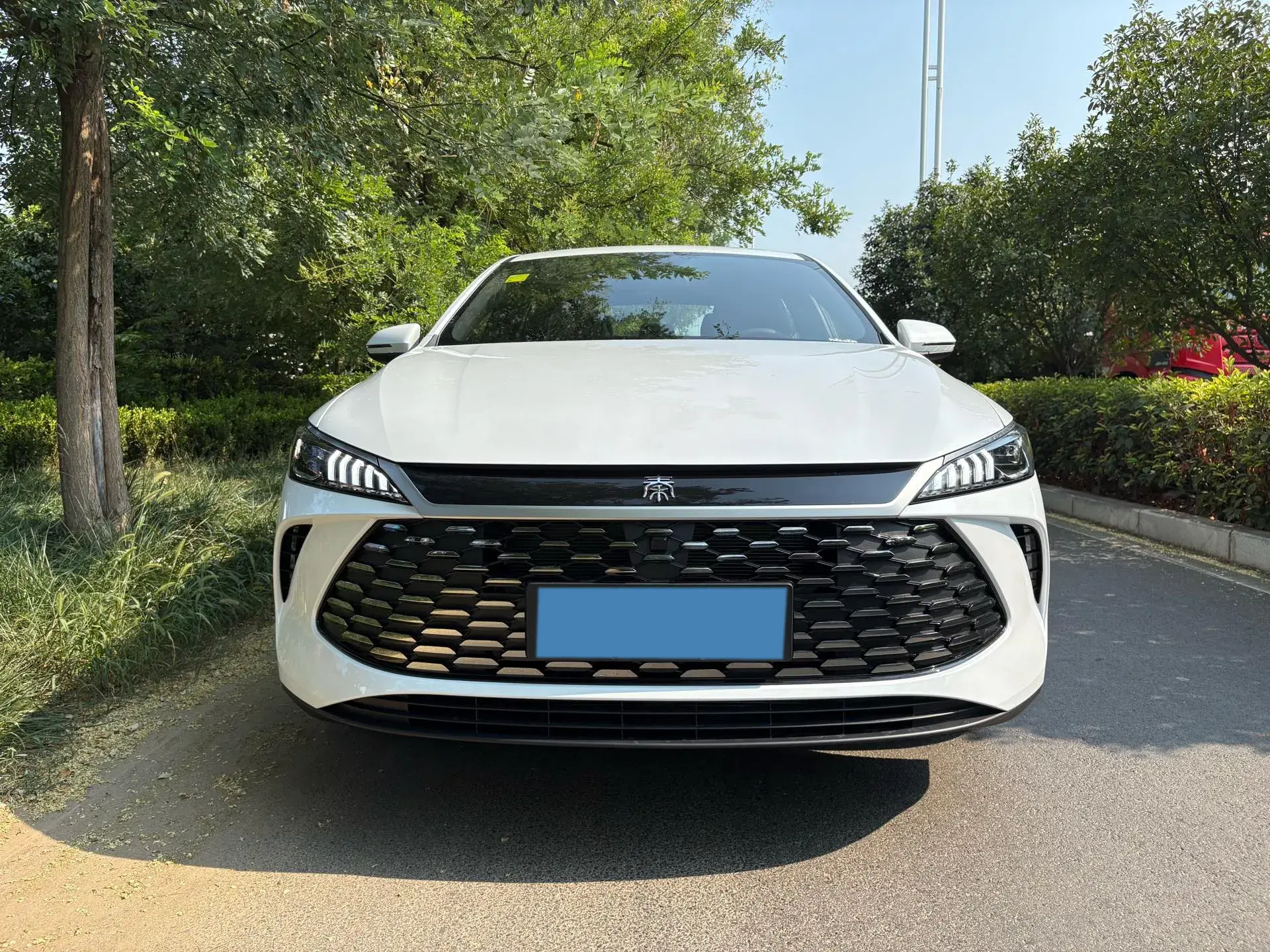 2025 BYD QIN thumbnail 2