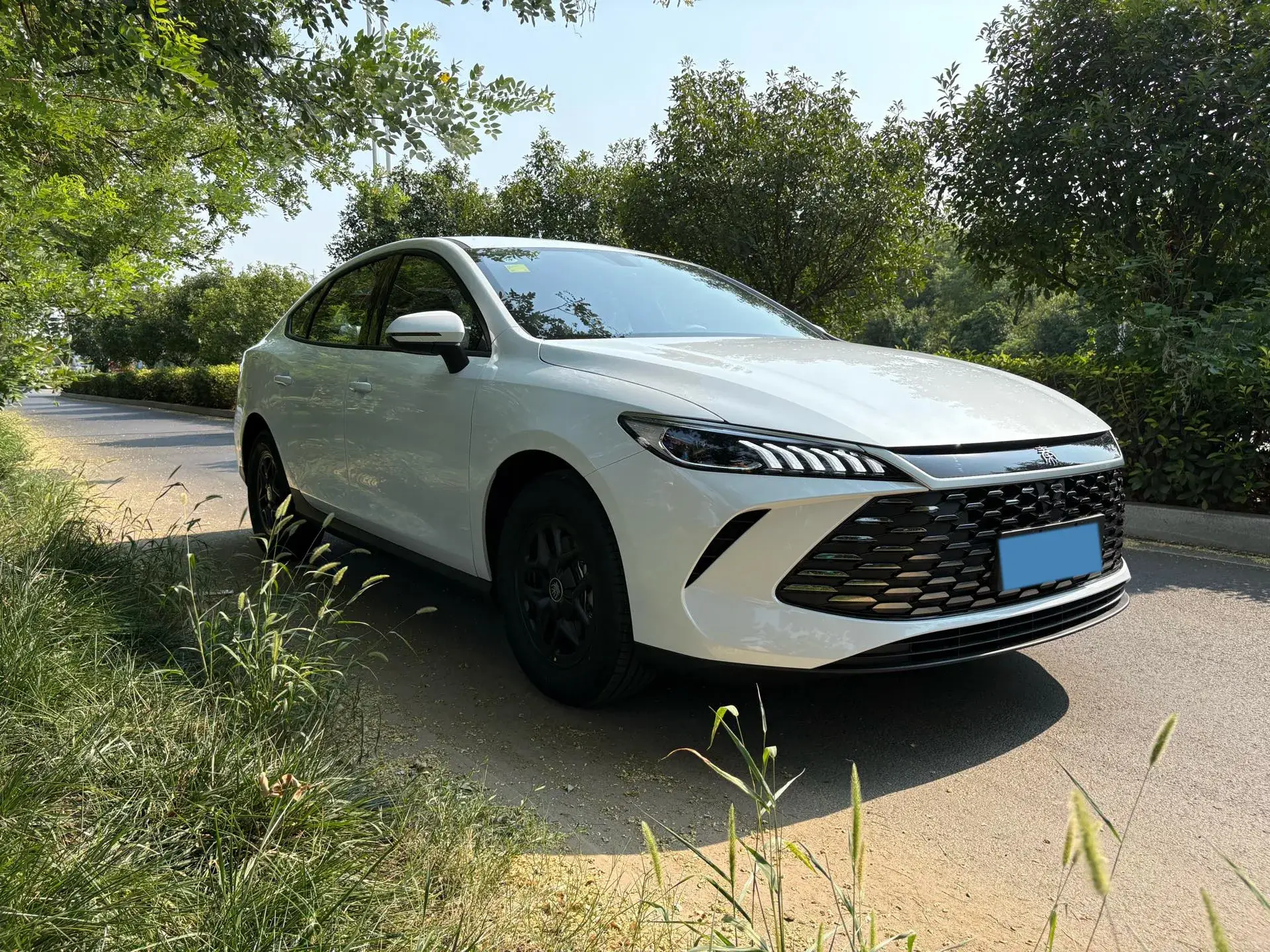 2025 BYD QIN thumbnail 3