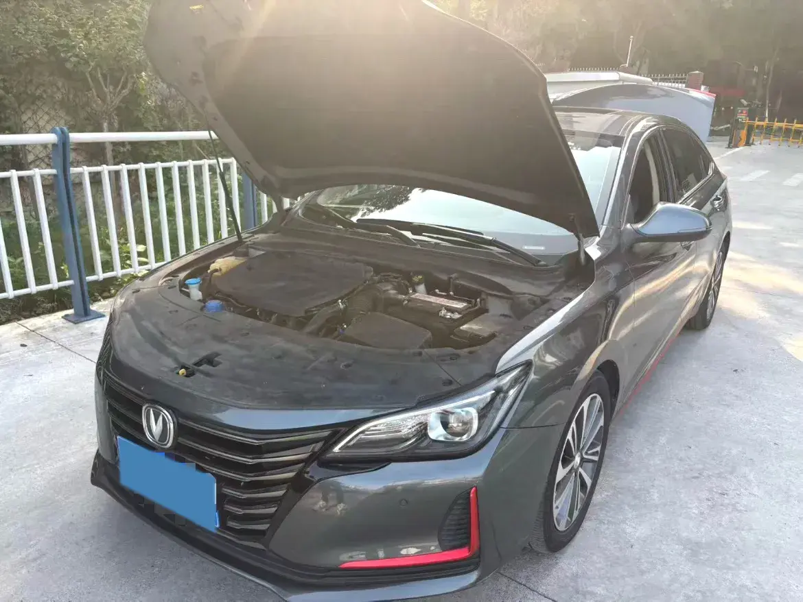 2021 CHANGAN RAETON thumbnail 2