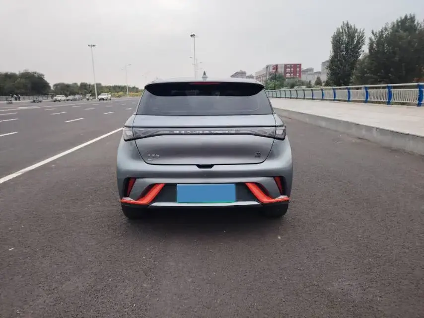 2021 BYD DOLPHIN thumbnail 4