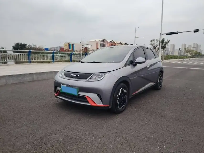 2021 BYD DOLPHIN view 1
