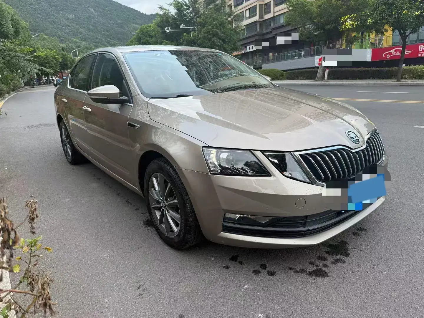 2019 SKODA OCTAVIA thumbnail 3