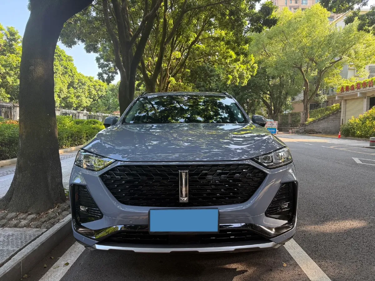 2022 WEY Latte DHT 1.5T 156HP L4 2DHT Hybrid,autocango,china used car exporter,china ev exporter,chinese used car exporter,chinese used ev exporter
