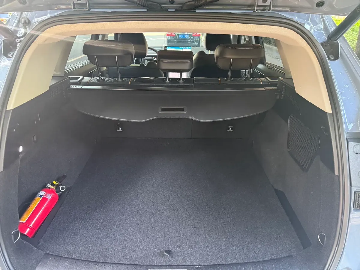 2022 WEY Latte DHT 1.5T 156HP L4 2DHT Hybrid,autocango,china used car exporter,china ev exporter,chinese used car exporter,chinese used ev exporter