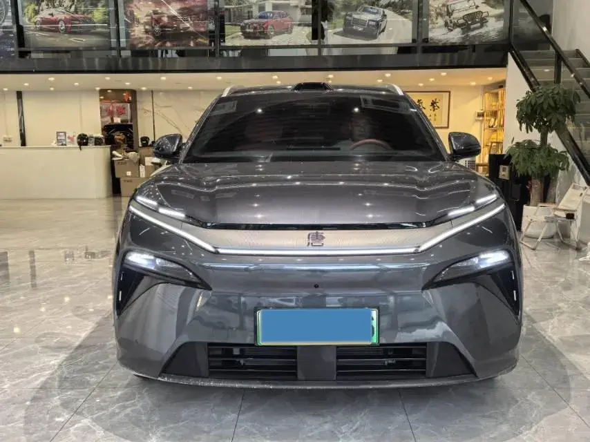 2025 BYD TANGL thumbnail 2