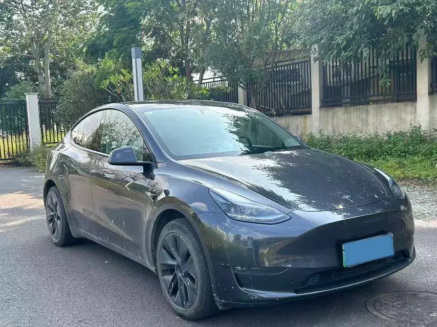 2024 TESLA MODEL thumbnail 3