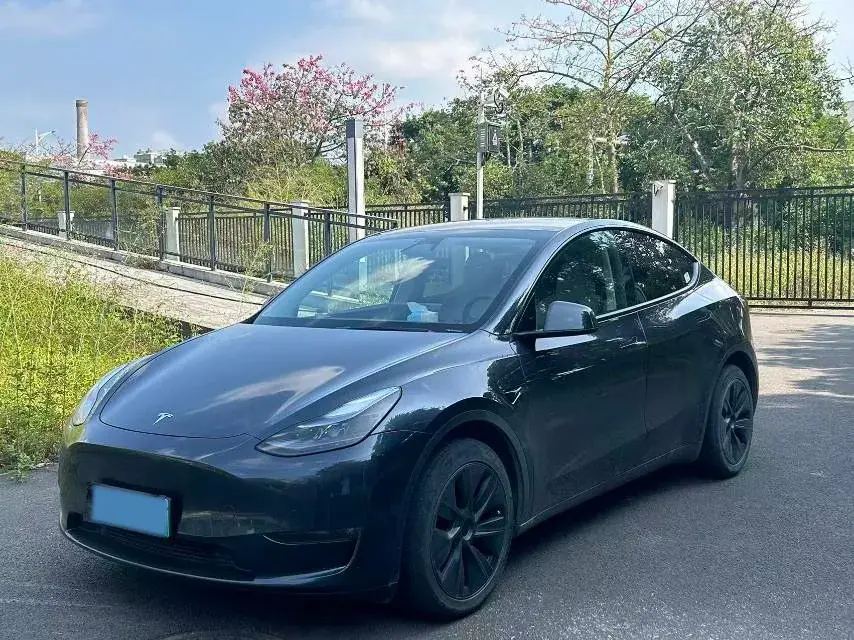 2024 TESLA MODEL view 1