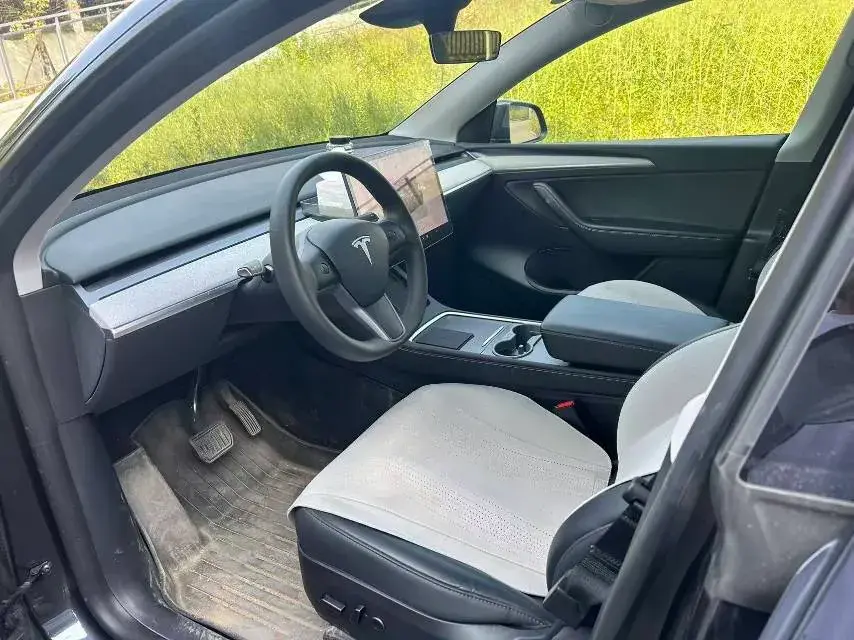 2024 TESLA MODEL thumbnail 4