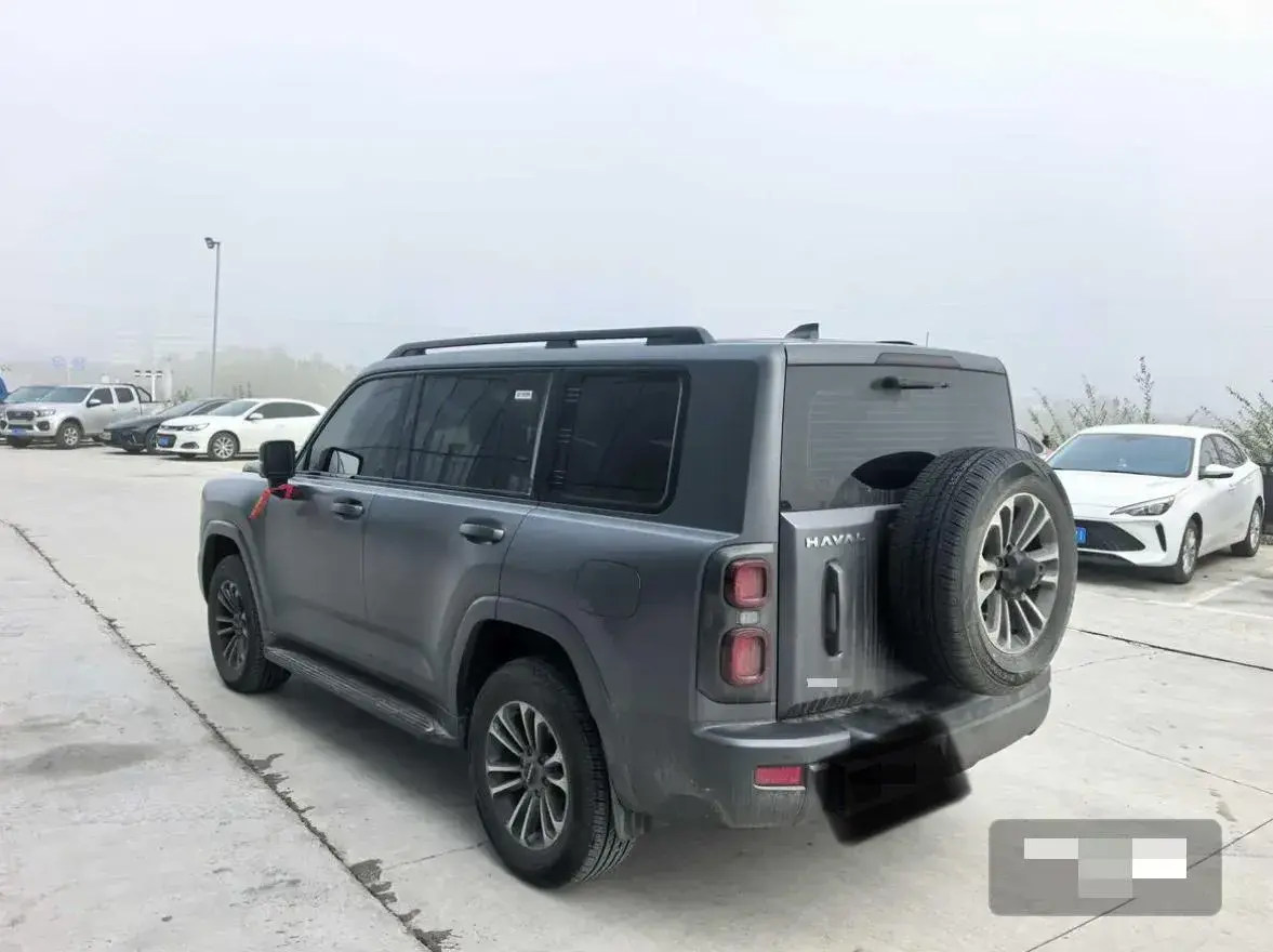 2024 HAVAL H9 thumbnail 4