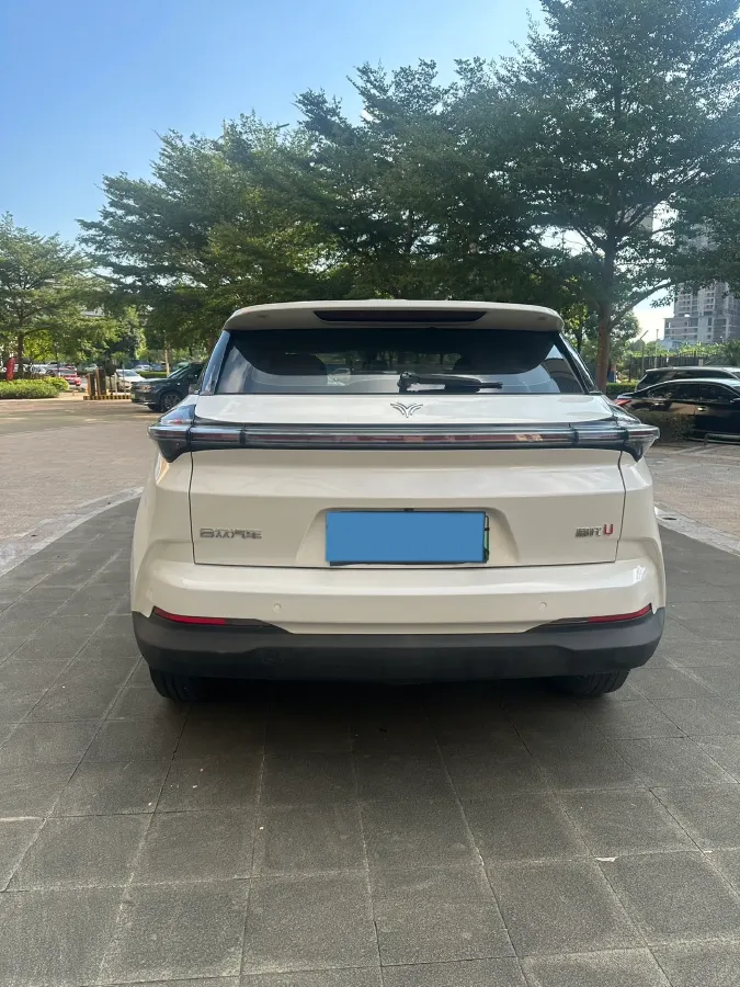 2020 Neta U BEV 54KWH,autocango,china used car exporter,china ev exporter,chinese used car exporter,chinese used ev exporter
