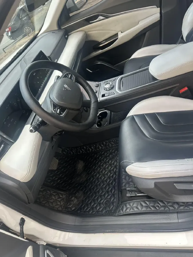 2020 Neta U BEV 54KWH,autocango,china used car exporter,china ev exporter,chinese used car exporter,chinese used ev exporter