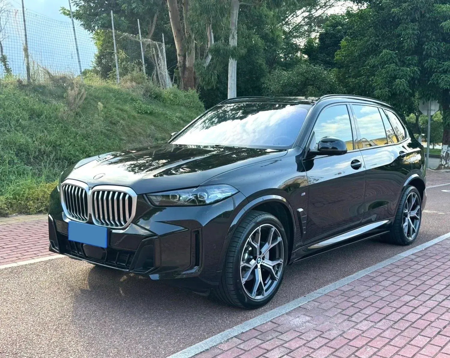 2023 BMW X5 view 1