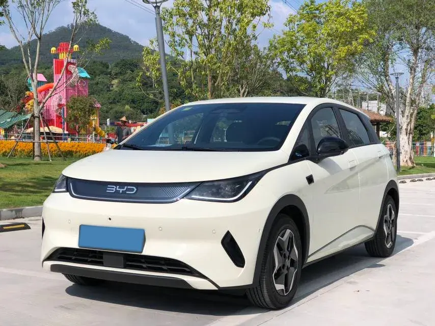 2025 BYD DOLPHIN view 1