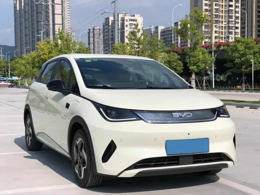 2025 BYD DOLPHIN thumbnail 3