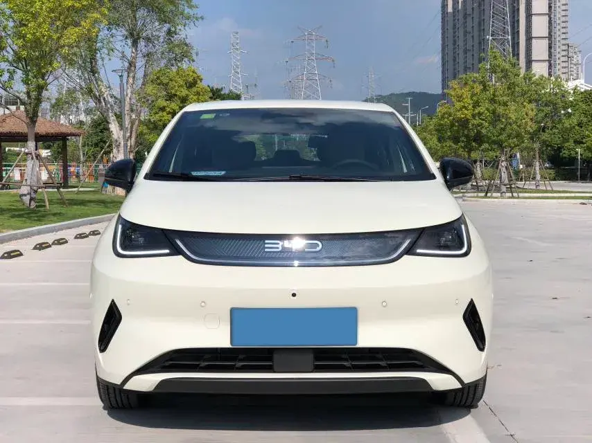 2025 BYD DOLPHIN thumbnail 2