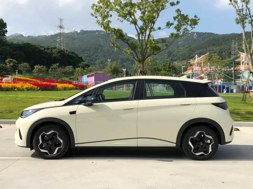 2025 BYD DOLPHIN thumbnail 4