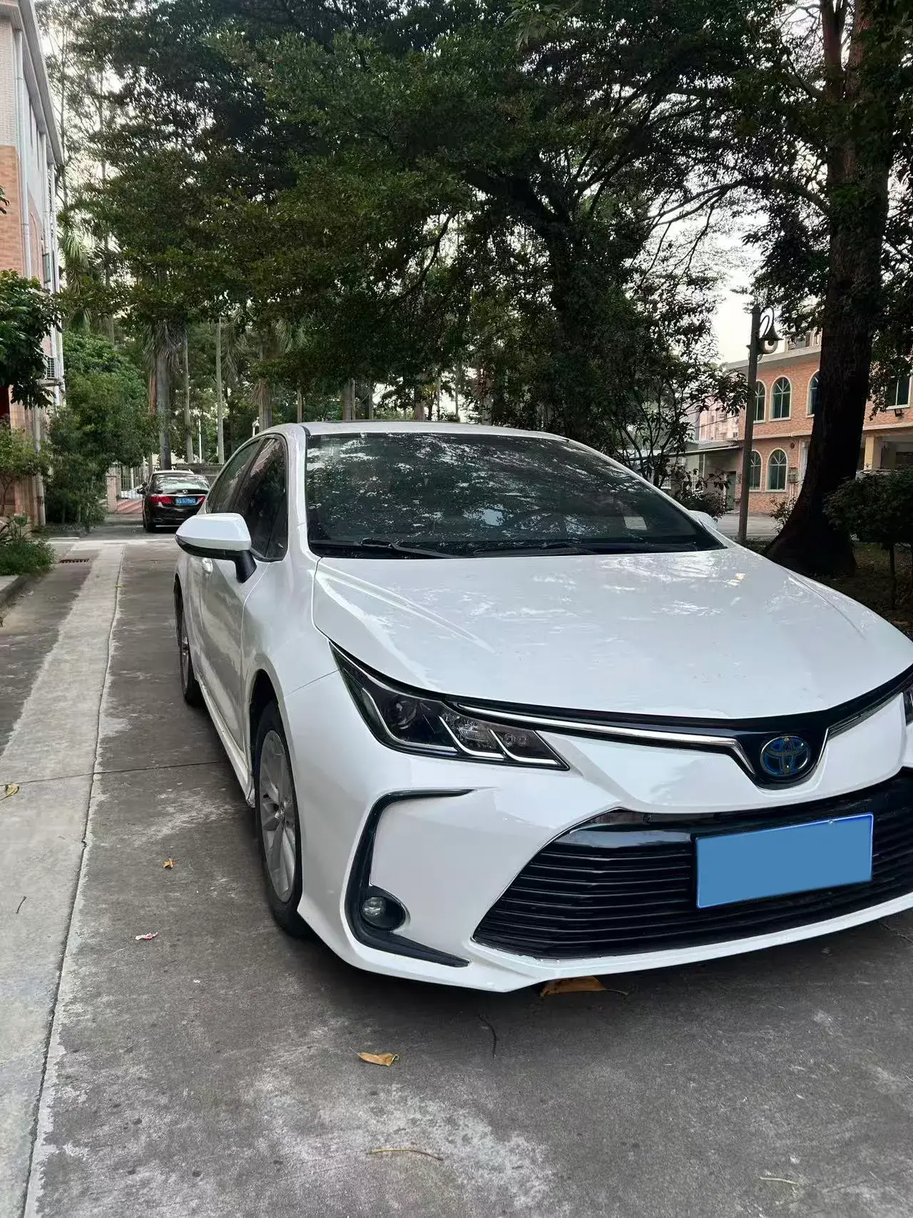 2021 TOYOTA COROLLA thumbnail 3
