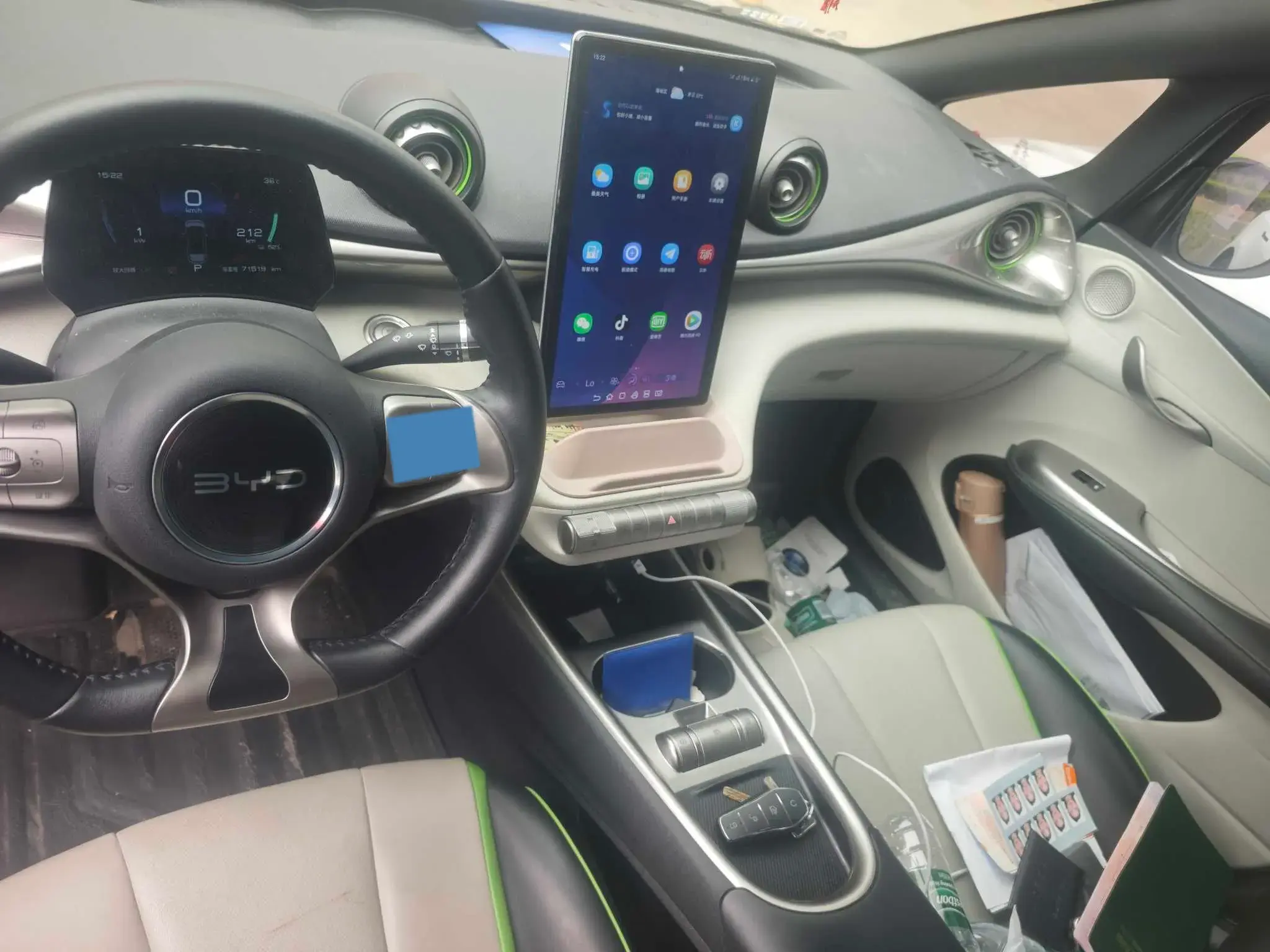 2021 BYD DOLPHIN thumbnail 4