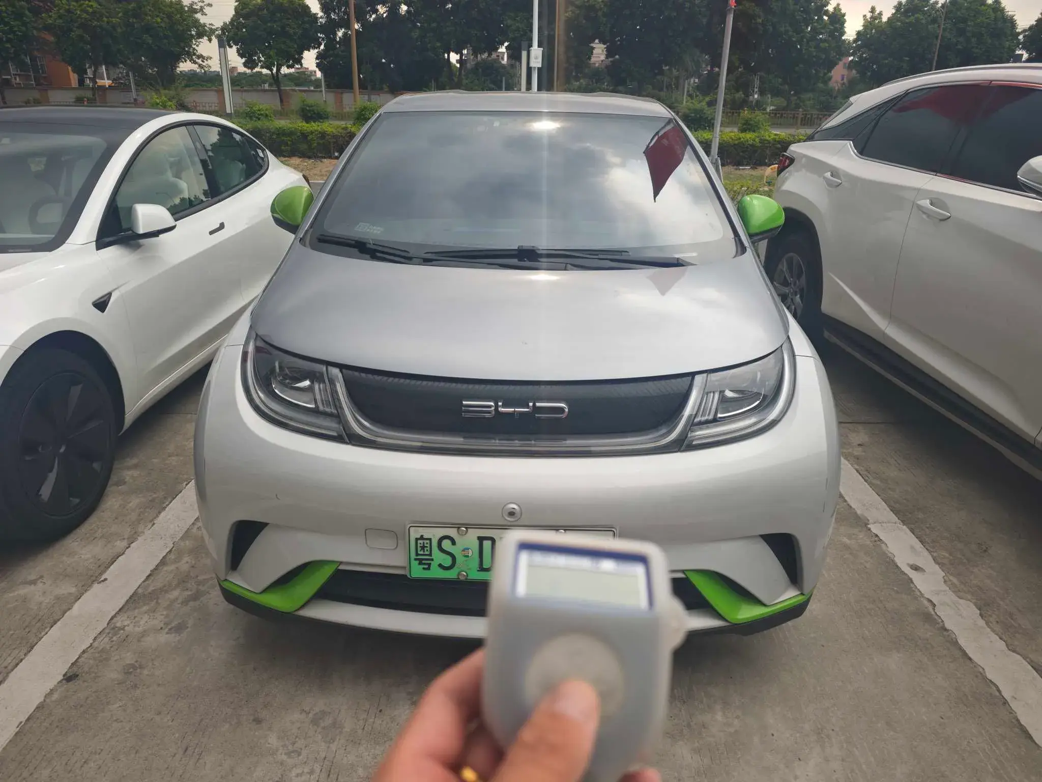 2021 BYD DOLPHIN thumbnail 2