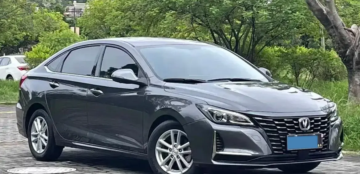 2022 CHANGAN RAETON thumbnail 2