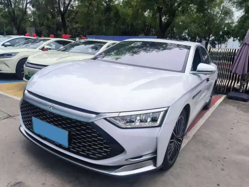 2020 BYD HAN view 1
