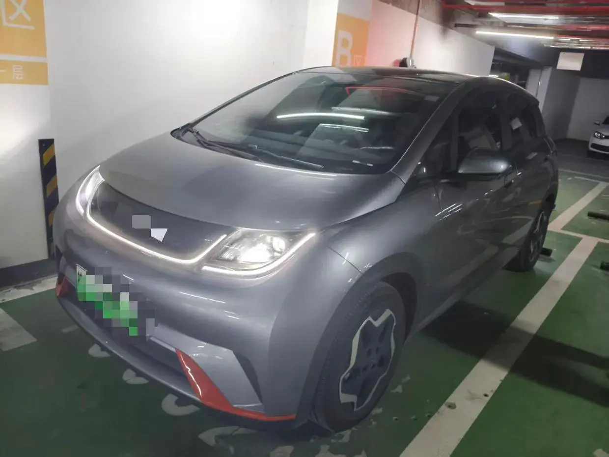 2021 BYD DOLPHIN view 1