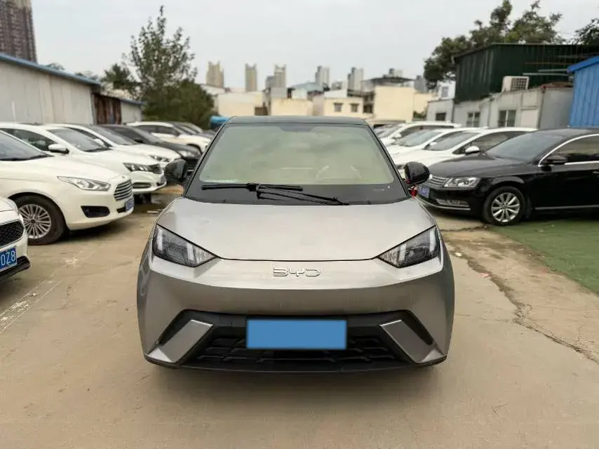 2023 BYD SEAGULL thumbnail 2