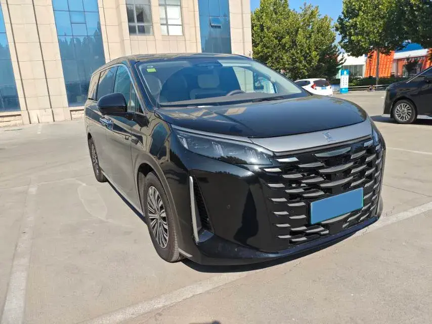 2025 BYD XIA thumbnail 2