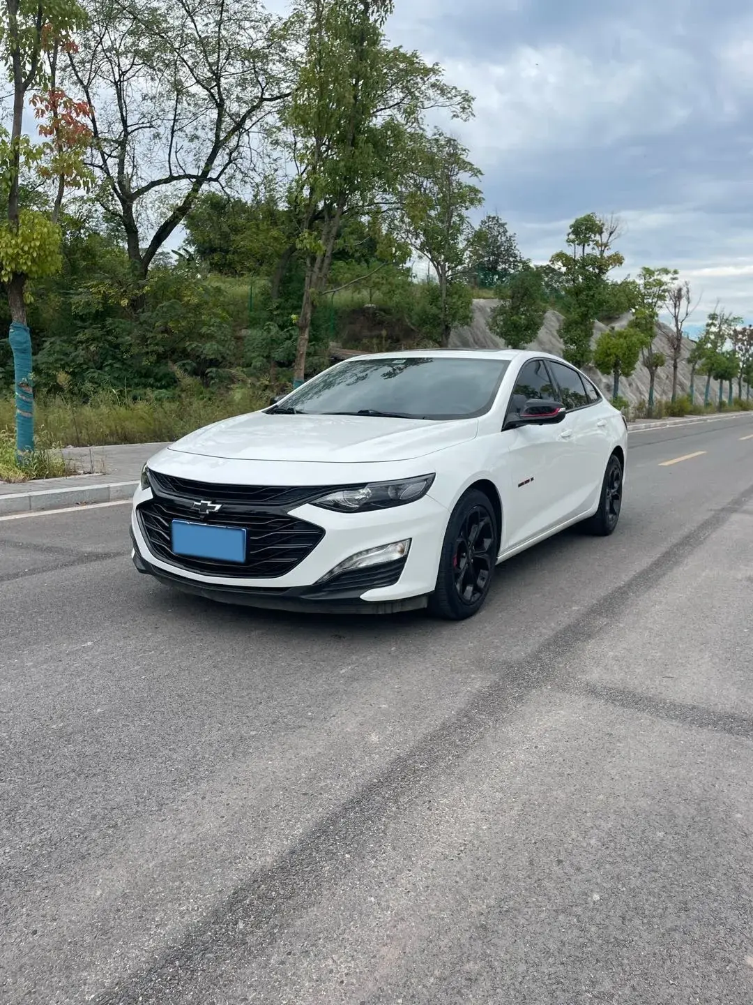 2019 CHEVROLET MALIBU view 1