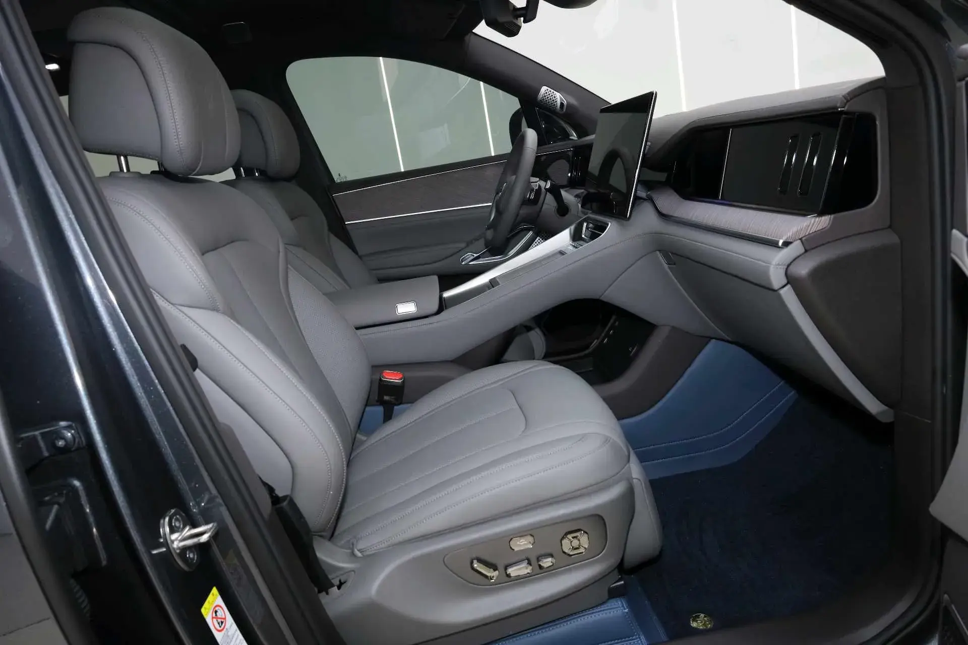 2025 DENZA DENZAN9 thumbnail 4