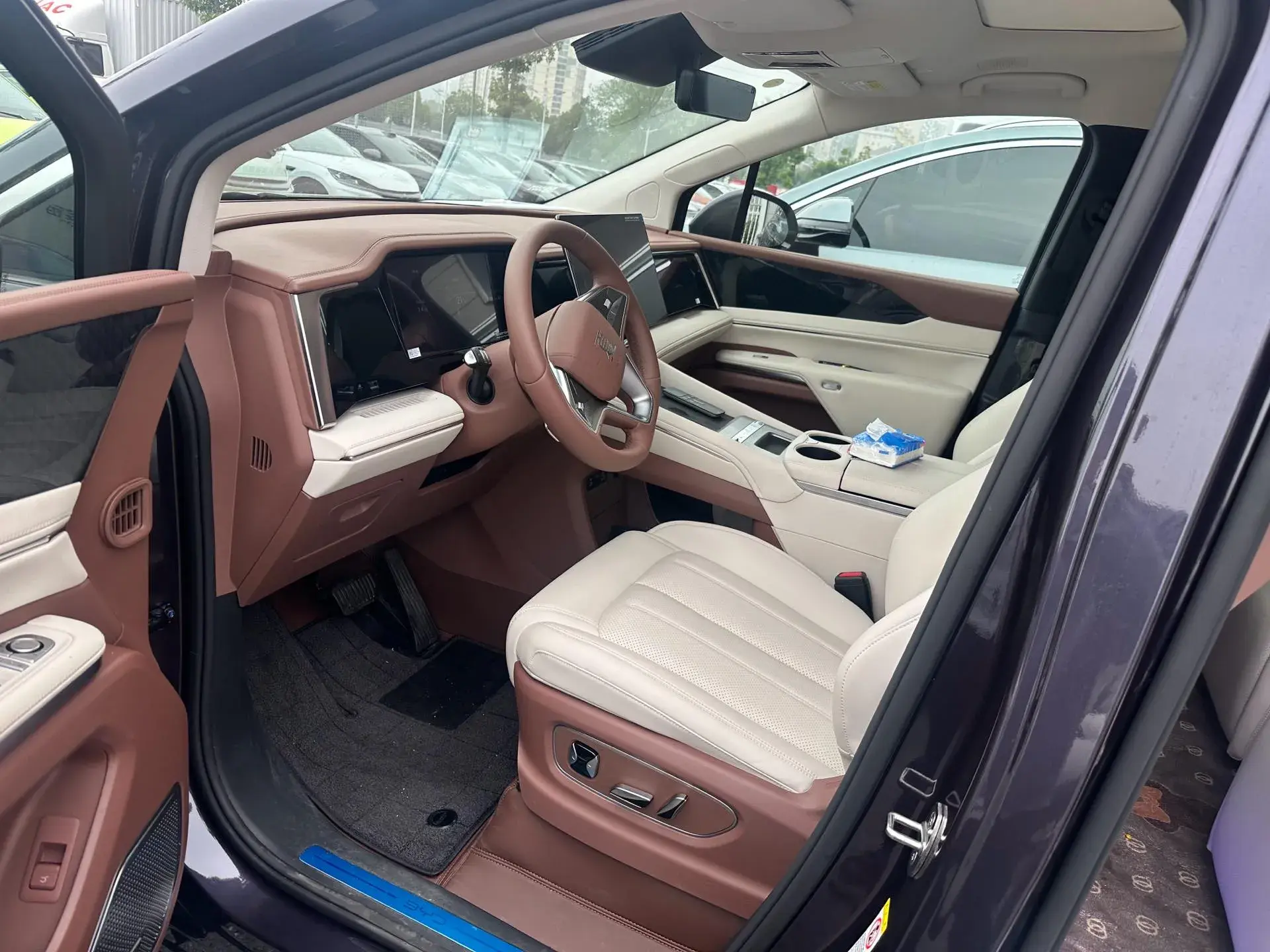 2025 BYD XIA thumbnail 3