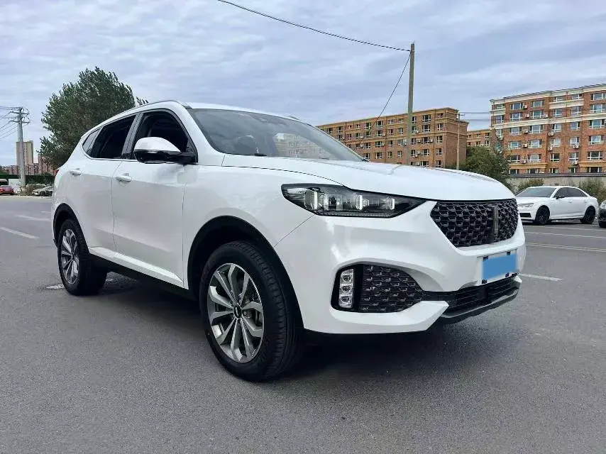 2021 WEY VV6 thumbnail 3