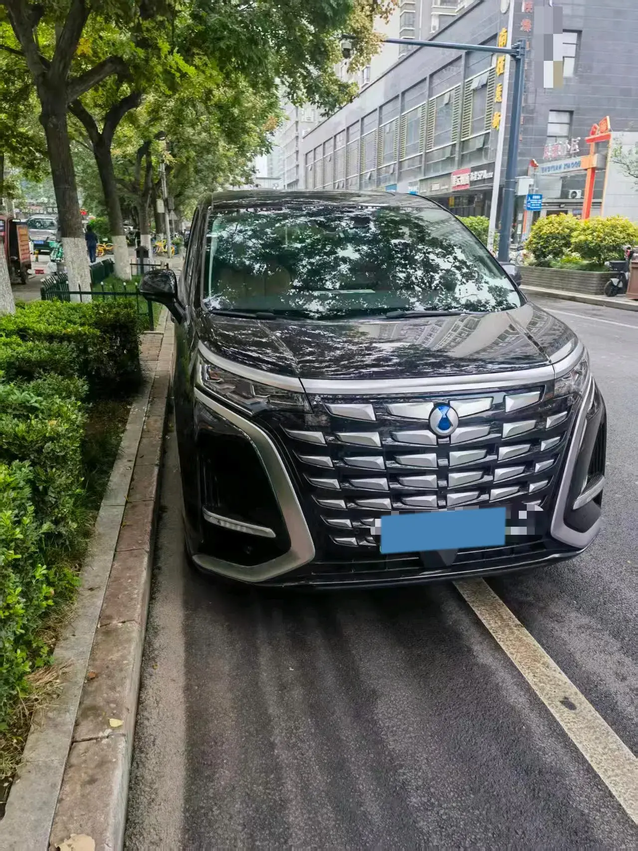 2024 DENZA D9 thumbnail 2