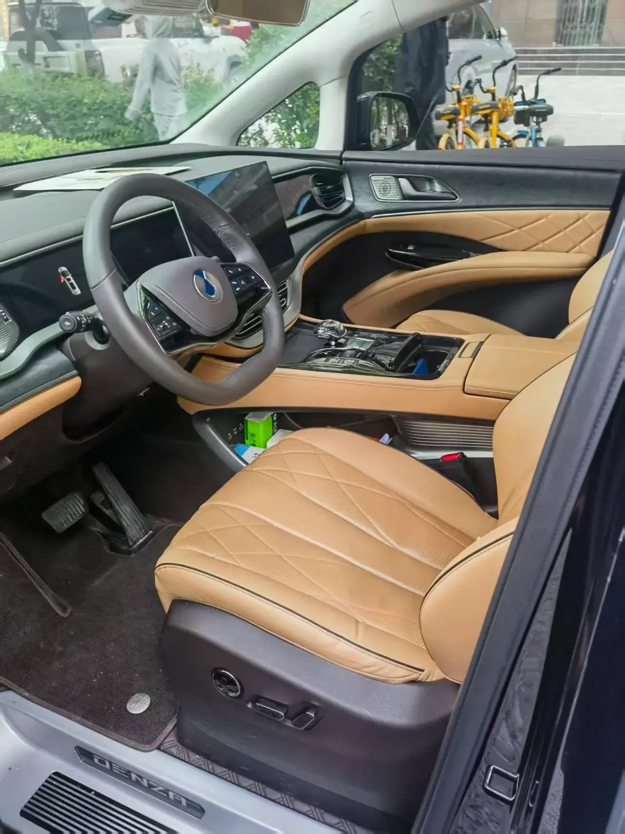 2024 DENZA D9 thumbnail 4