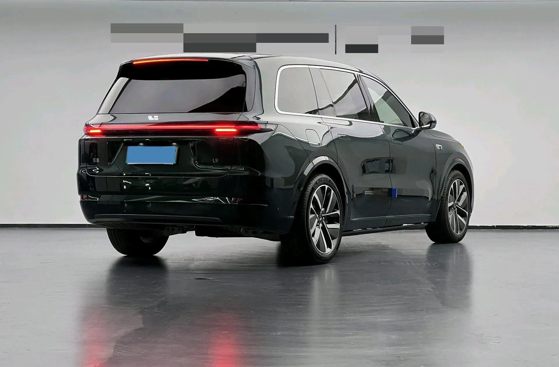 2024 LI L9 thumbnail 2