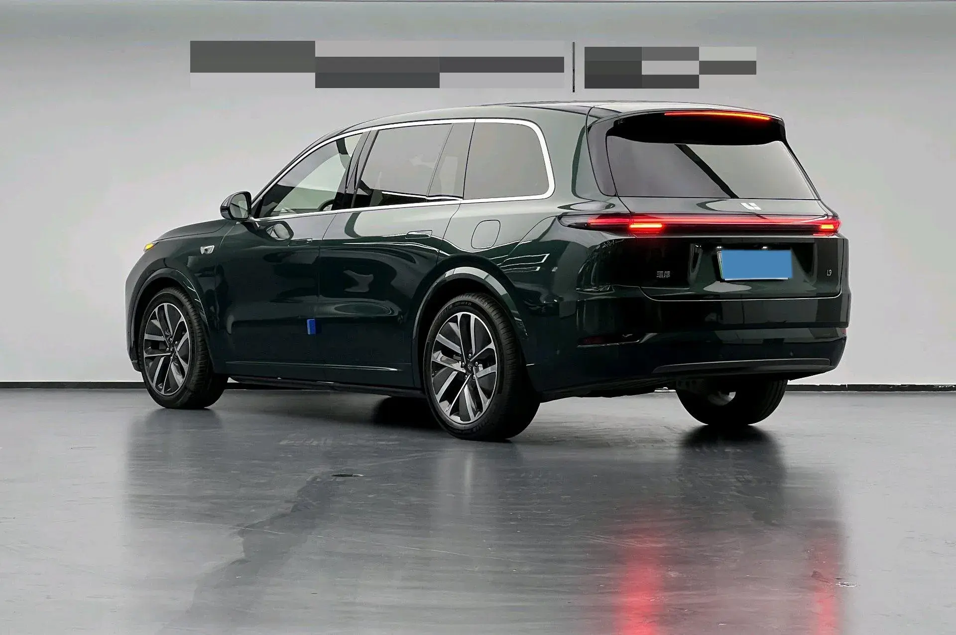 2024 LI L9 thumbnail 3