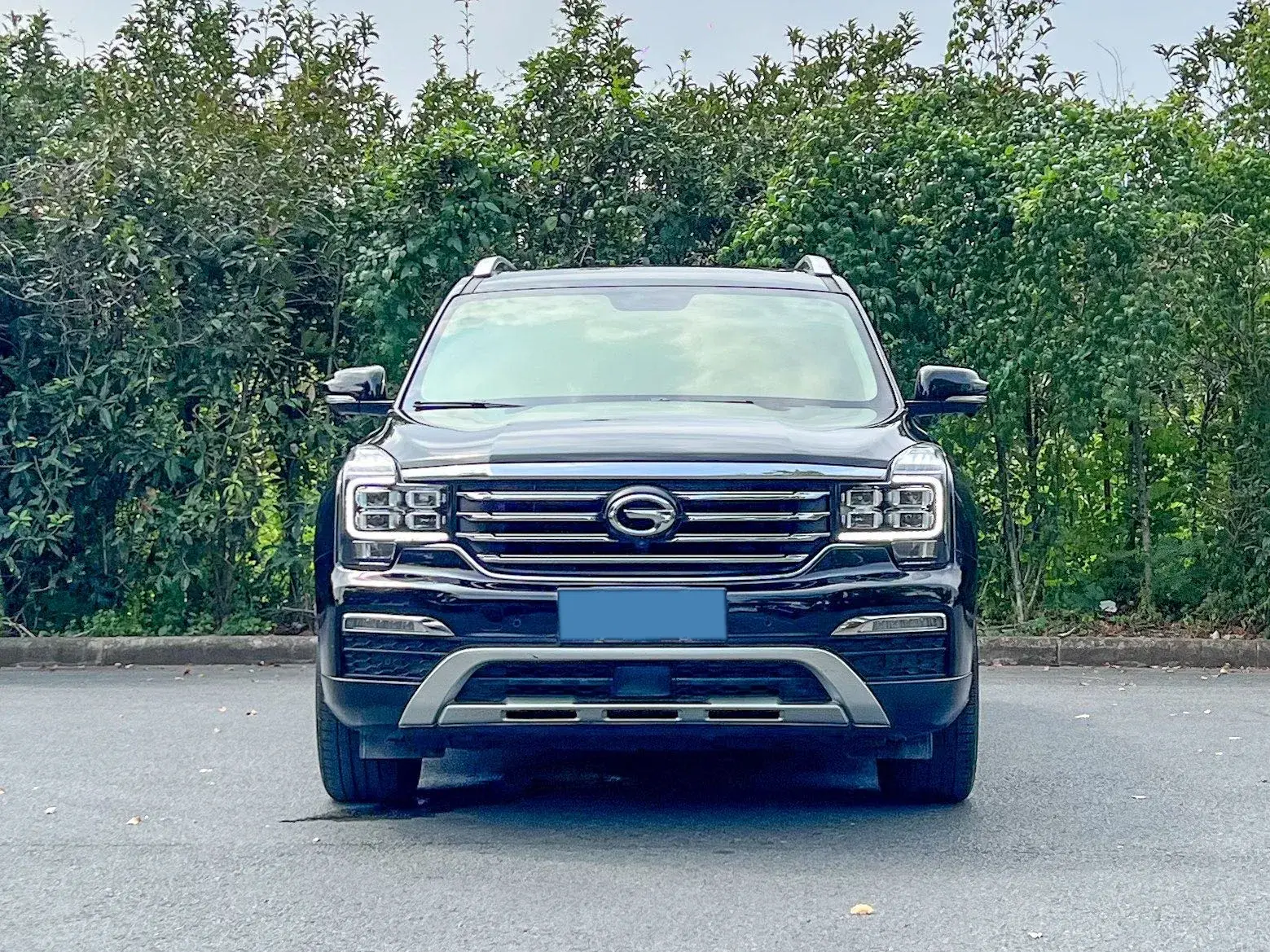 2017 GAC TRUMPCHI thumbnail 2