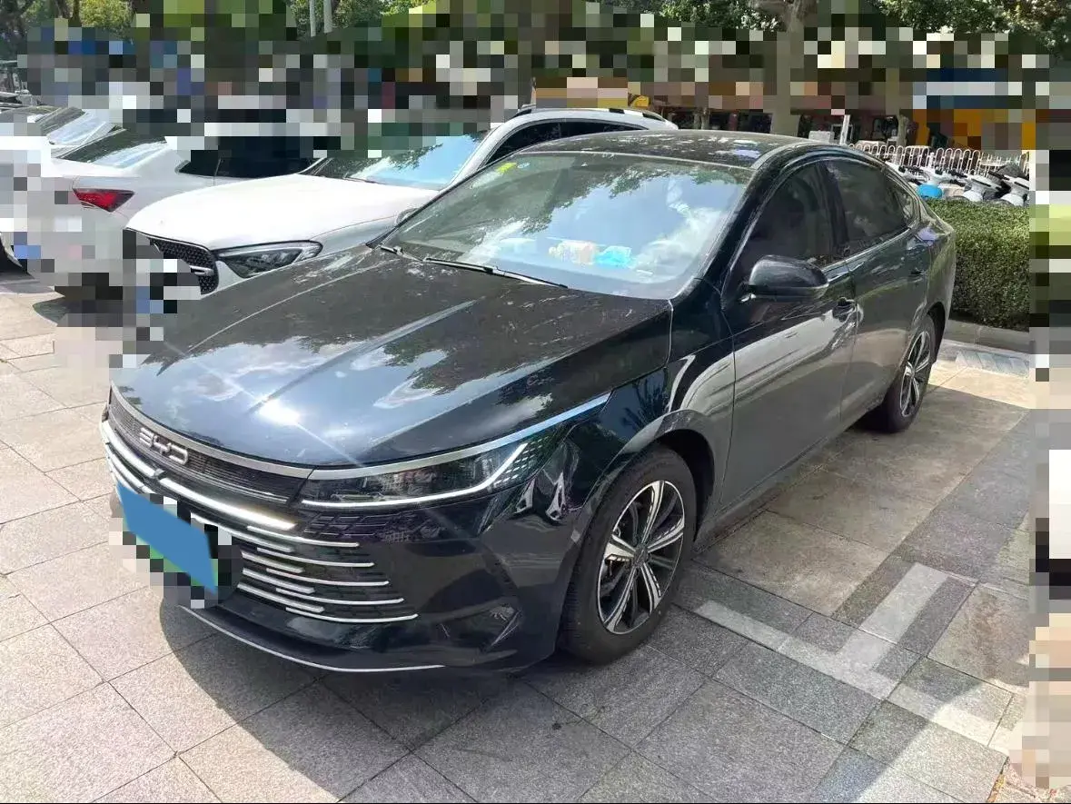 2024 BYD DESTROYER view 1