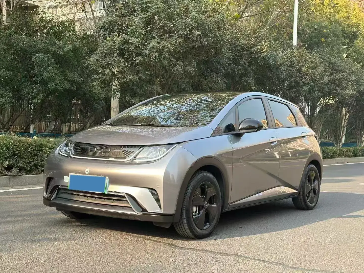 2023 BYD DOLPHIN view 1