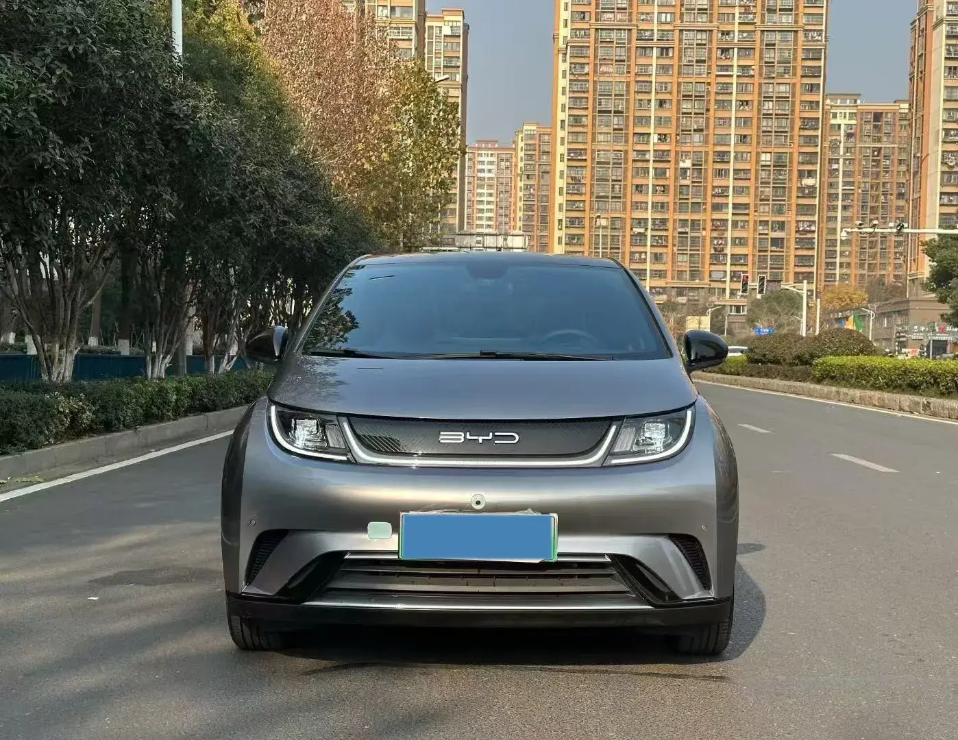 2023 BYD DOLPHIN thumbnail 2