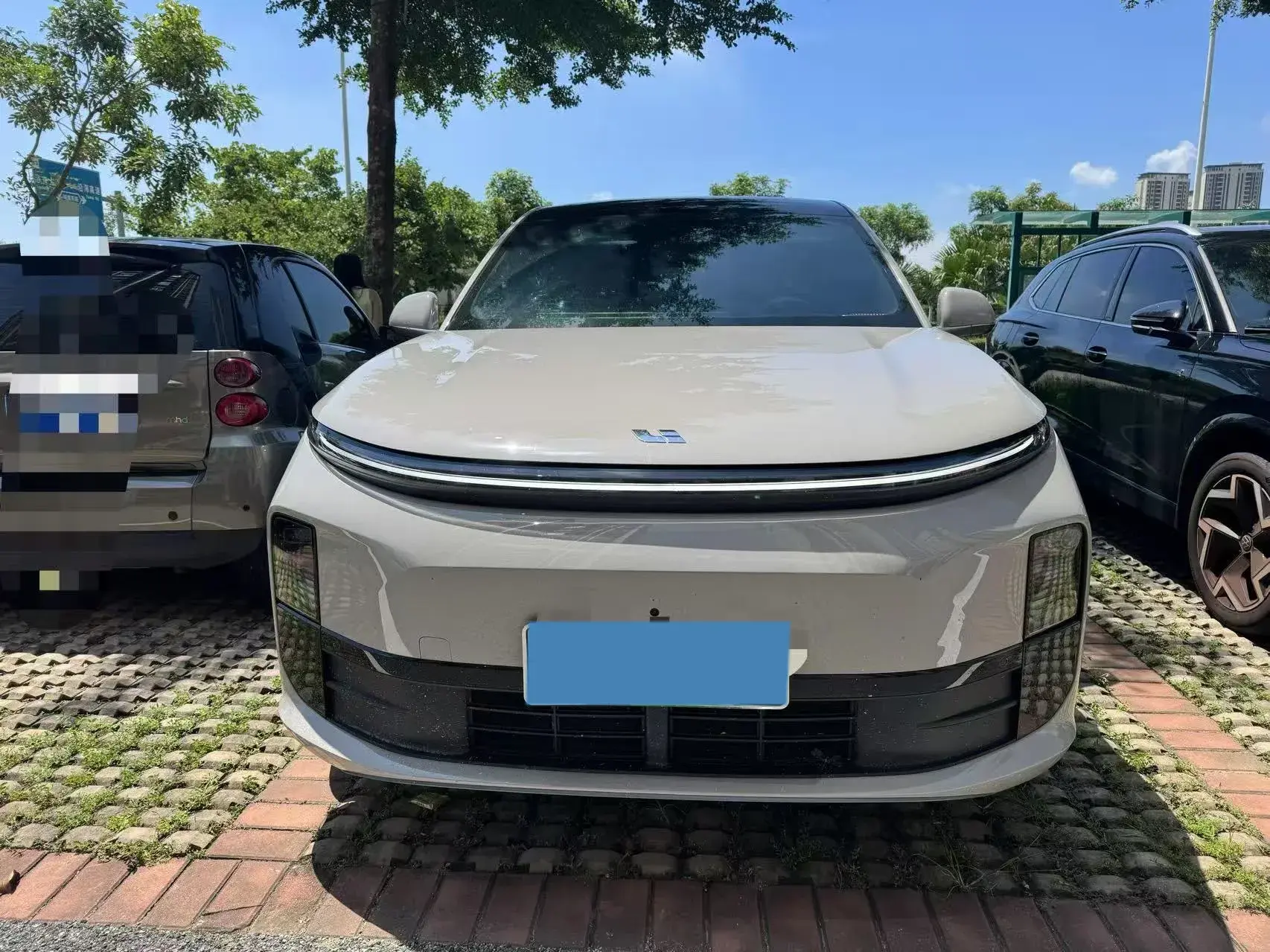 2024 LI L6 thumbnail 2