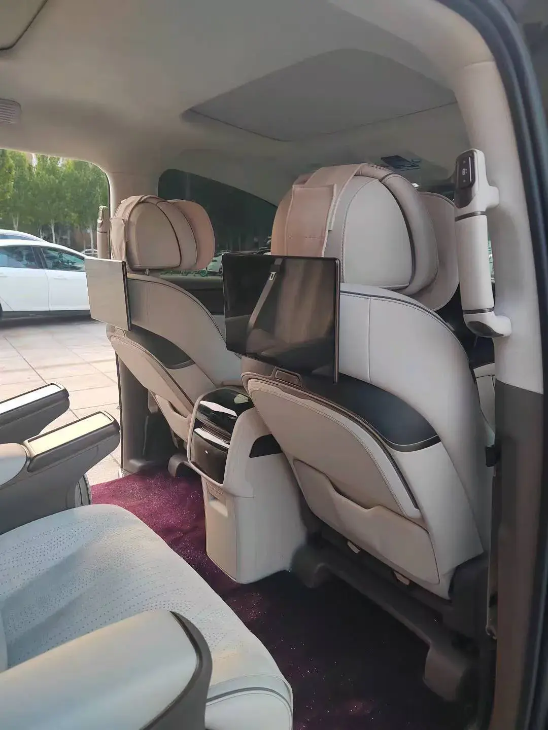 2024 DENZA D9 thumbnail 4