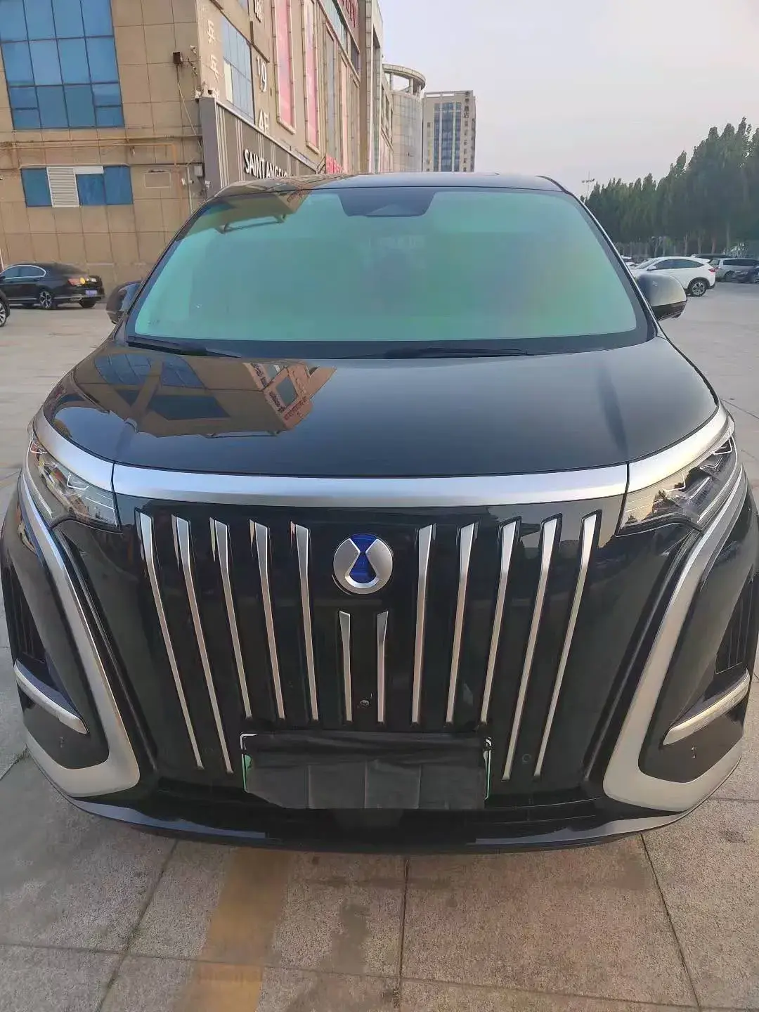 2024 DENZA D9 thumbnail 2